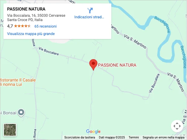 Immagine posizione su Google Maps clicca per aprire la posizione su Google Maps